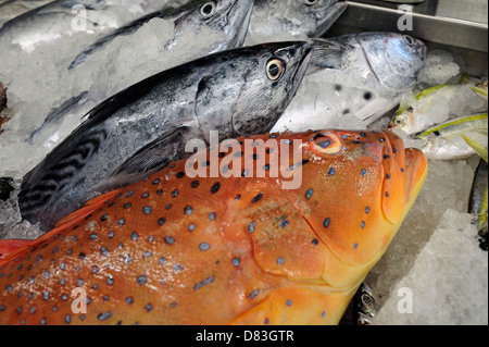 Fresh Fish at Rustan's Supermarket Ayala Center Cebu City Philippines Stock Photo