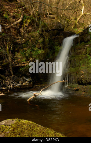 Clachan of Campsie (Campsie Glen), East Dunbartonshire ...