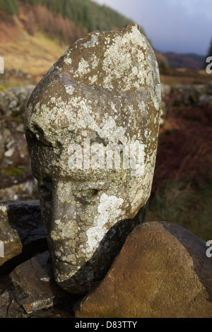 Stone sculpted human faces embedded in a dry stone dyke by Matt Baker, Galloway Forest Park, Dumfries & Galloway, Scotland Stock Photo