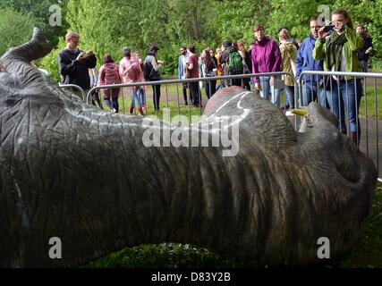 Berlin, Germany. 18th May 2013. Visitors stand next to a statue of a dinosaur at the former Spreepark in Berlin, Germany, 18 May 2013. The London Indie band The XX invited befriended musicians to a concert at the deserted Spreepark area. Photo: BRITTA PEDERSEN/dpa/Alamy Live News Stock Photo