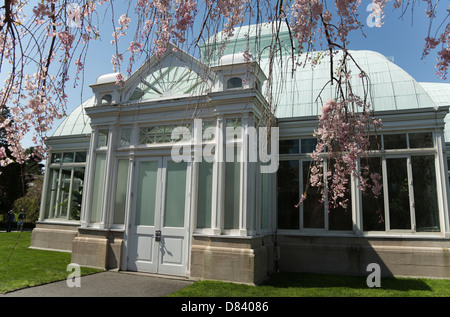 A section of The Enid A. Haupt Conservatory at the New York Botanical Garden in the Bronx Stock Photo