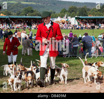 Huntsman with hounds at the Chatsworth Game Fair, Derbyshire, England, U.K. Stock Photo