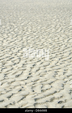Patterns made by waves and wind on the beach sand at Ogunquit, Maine. Stock Photo