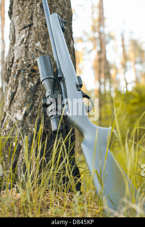 Rifle with telescopic sight in outdoor Stock Photo