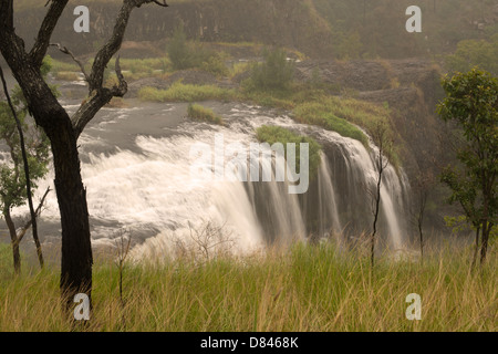 Millstream Falls near Ravenshoe, Atherton Tablelands, Far North Queensland, Australia Stock Photo