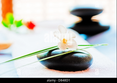 Still life with a black stone and a flower in the style of zen-like Stock Photo