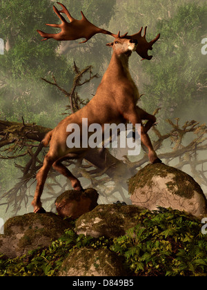 An Irish Elk stands proudly in a dense forest. Stock Photo