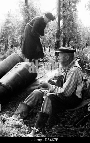 1963 Elderly senior wine growers at lunchtime in vineyard Alsace France Stock Photo