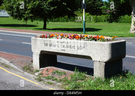 Flowers in granite horse drinking trough next to A26, a gift from Sir David Lionel Salomons to Southborough in 1894, Southborough Common, Kent, UK Stock Photo