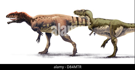 Body size comparison between Giganotosaurus carolinii and Tyrannosaurus rex. Stock Photo