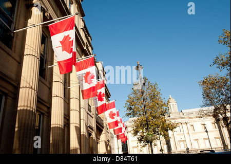 Canadian national flags hanging outside Canada House in Trafalgar Square, London, UK. Stock Photo
