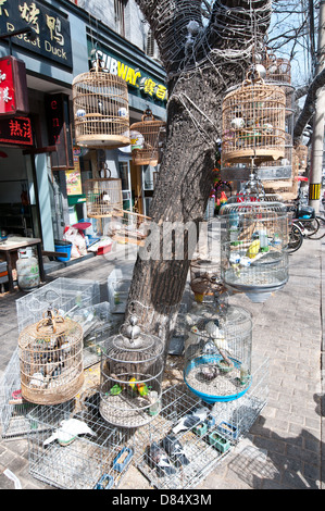 Pet shop with birdcages on a sidewalk in China, Beijing Stock Photo
