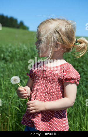 Child Blond Girl blowing on a dandelion clock, summer meadow Stock Photo