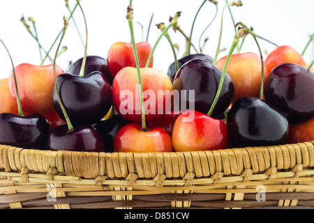 Rainier and black cherries sitting in a basket isolated on a white background. Stock Photo