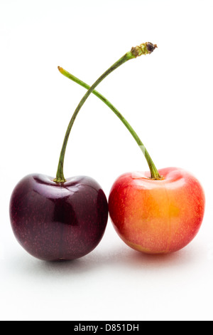 A rainier and black cherry isolated on a white background. Stock Photo