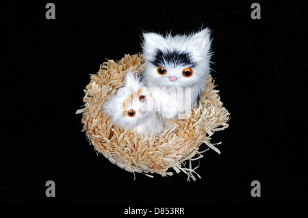 Cats sitting in a wicker basket ornament made from real fur against a black background. Stock Photo