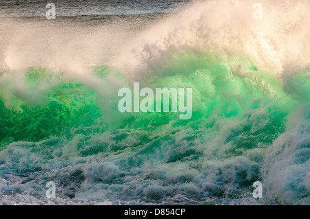 Wave breaking on lava shelf, Oahu, Hawaii Stock Photo