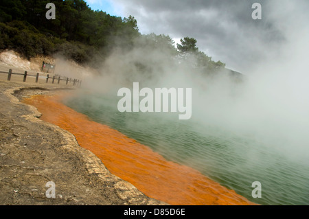 champagne pool in north island,new zealand Stock Photo