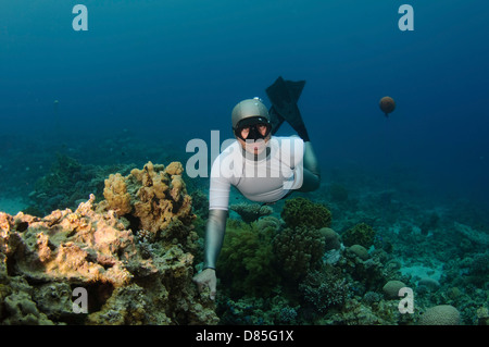Freediver underwater in the Red Sea. Photographed in Aqaba, Jordan. Model Release Available. Stock Photo