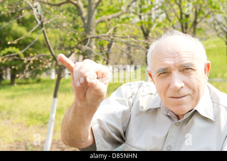 Old bald man showing his pinky finger over the green nature background Stock Photo