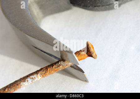 Claw Hammer with rusty nail Stock Photo