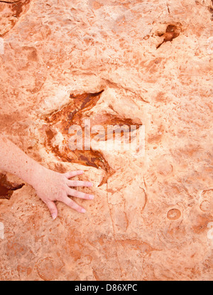 dinosaur footprint with a woman's hand alongside to provide scale in the location of Tuba City Arizona.. Stock Photo