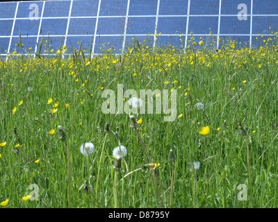 solar cells and flower meadow / Solarzellen und Blumenwiese Stock Photo