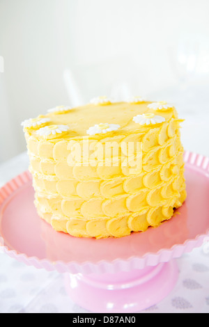 A yellow citrus cake on a pink plate. Stock Photo