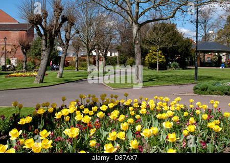 Manor Gardens in spring, Exmouth, Devon, England, UK Stock Photo