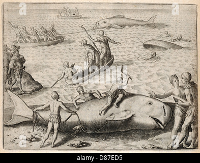 WHALING IN CANADA Stock Photo