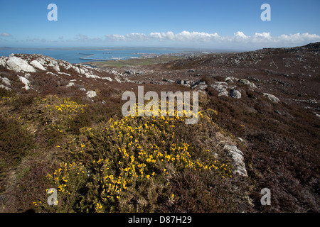 The Wales Coastal Path in North Wales. Picturesque aerial view from Holyhead Mountain with town of Holyhead in the background. Stock Photo