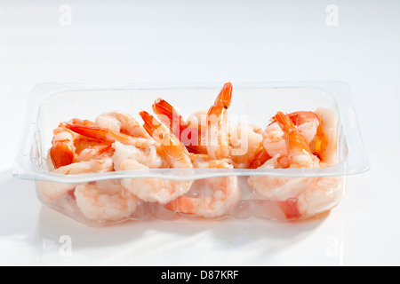 Prawns in plastic container, close up Stock Photo