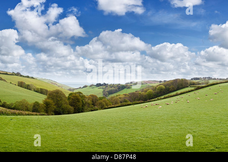 Devon countryside view with sea in the background, England, UK Stock Photo