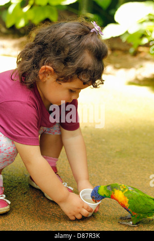 Little girl feeding a parrot. Stock Photo