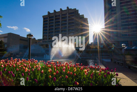 Downtown Gatineau in spring Stock Photo