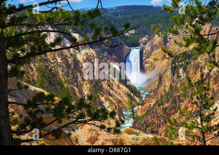 Lower Falls and Grand Canyon of Yellowstone as seen from Artist's Point in summer in Yellowstone National Park, Wyoming Stock Photo