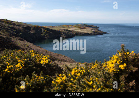 The Wales Coastal Path in North Wales. Picturesque view of the north east coast of Anglesey. Stock Photo