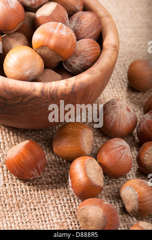 Forest hazelnuts in shell Stock Photo - Alamy