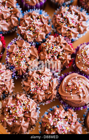 Closeup of chocolate cupcakes with decorative sprinkles viewed from above Stock Photo