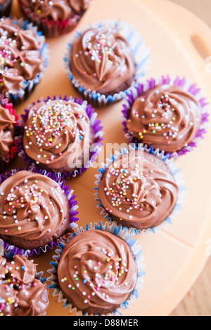 Closeup of chocolate cupcakes with decorative sprinkles on plastic tray viewed from above Stock Photo