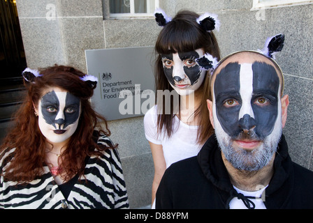 Badger flashmob outside DEFRA to demonstrate against the Badger cull Stock Photo