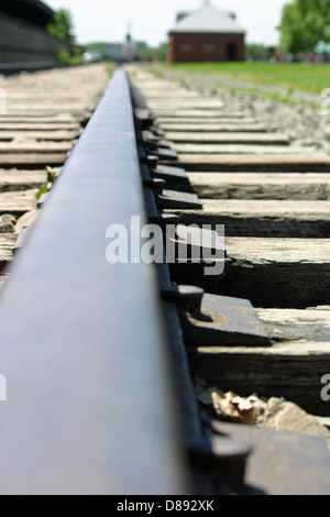 A single railroad track diminishing into the distance Stock Photo