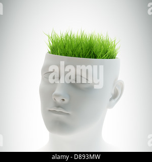 Learning and mental development concept - grass growing out of a head