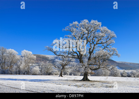 Rural countryside Brecon Beacons Powys Wales in winter Stock Photo