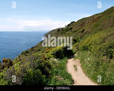 Southwest Coast Path, Polperro, Cornwall, UK 2013 Stock Photo