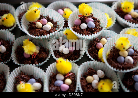 A tray of chocolate Easter nests with sugar-coated chocolate eggs and decorative yellow chicks. Stock Photo