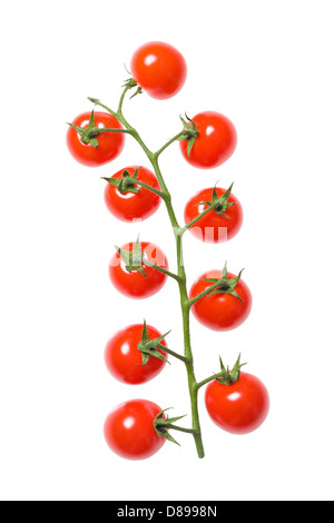Cherry tomatoes. Stock Photo