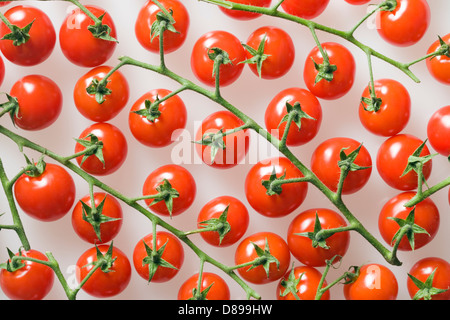 Tomatoes. Stock Photo