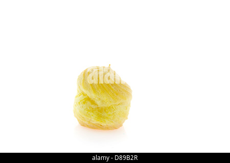 single Choux pastry over white background Stock Photo