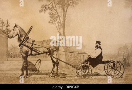 Trotteur Russe 1860 Stock Photo